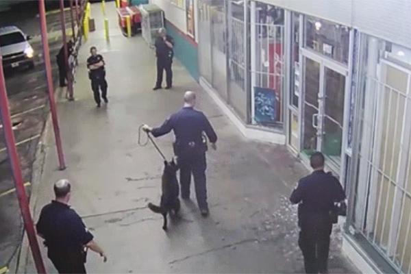 Ladrón es detenido por perro policía-0
